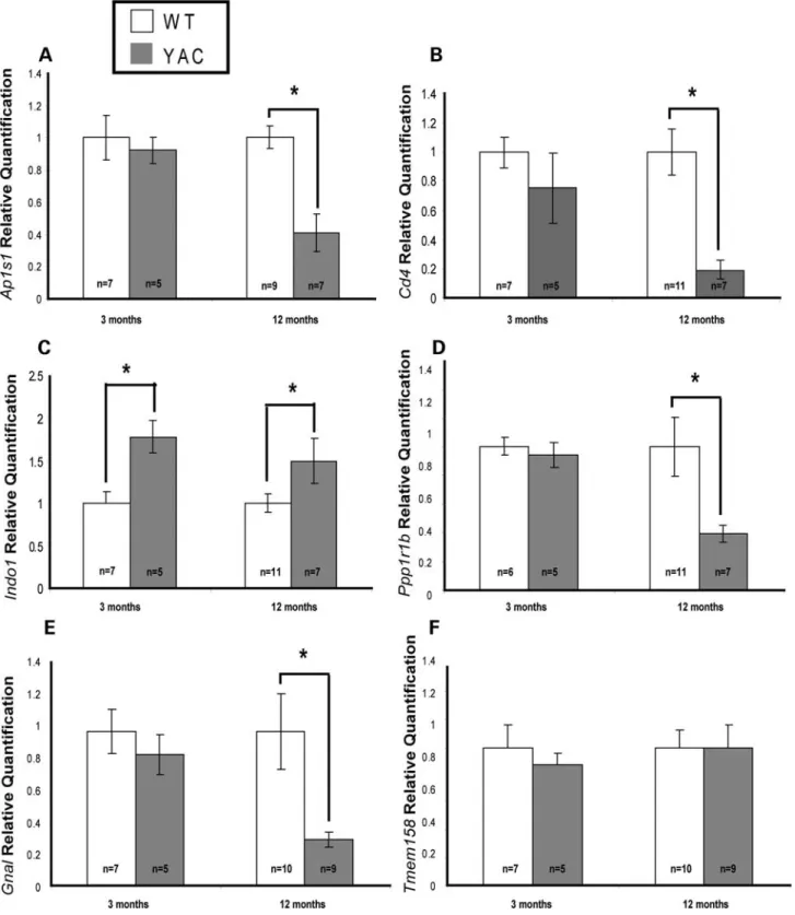 Figure 3. Five striatal-enriched genes respond to pathogenesis in the YAC128 mouse model of HD