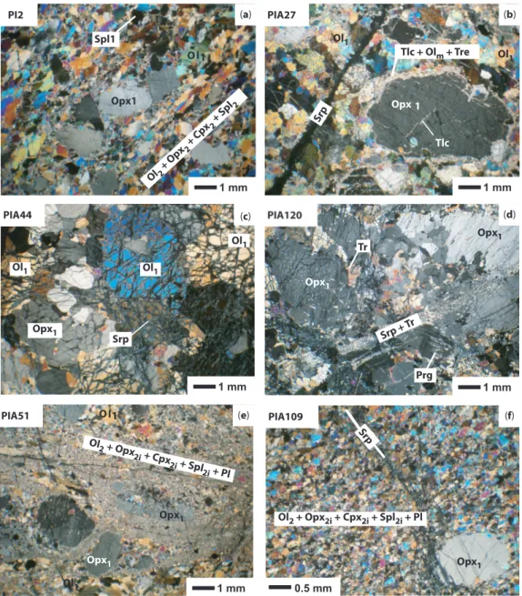 Fig. 3. Textures of the analyzed samples. PI2, PIA27 and PIA44 are spinel harzburgites and PIA51, PIA109 and PIA120 are plagioclase-bearing harzburgites