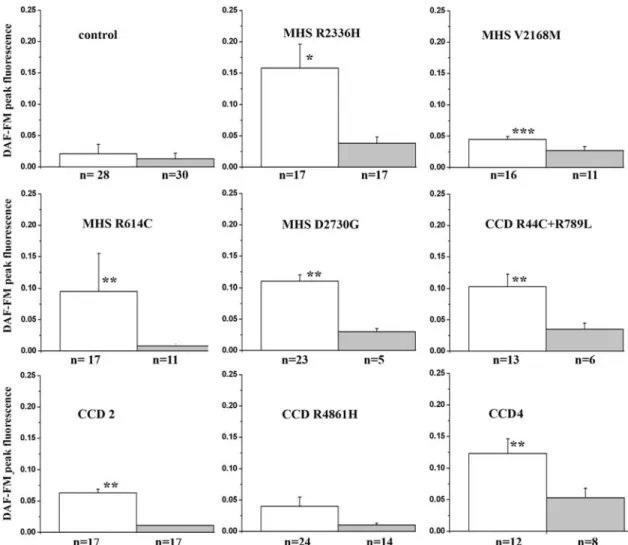 Figure 6A shows the subcellular distribution of NFATc1 in myotubes from control and CCD patients after treatment with 60 m M KCl