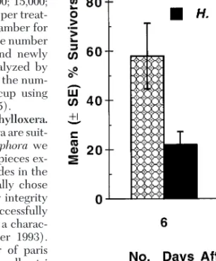 Fig. 2. Mean percent survivorship (⫾SE) of attached grape phylloxera on Cabernet Sauvignon root pieces placed in petri dishes and treated with infective juveniles of H.