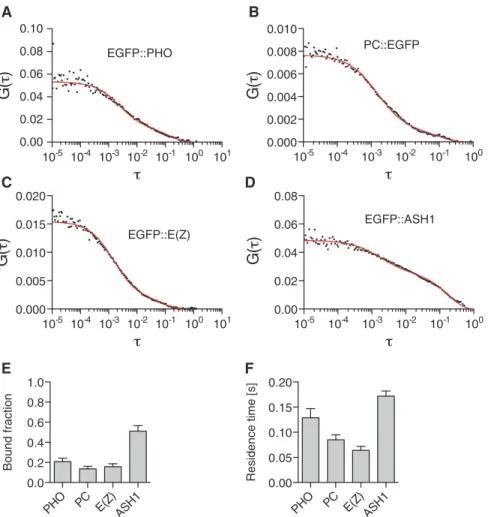 Figure 3. In vivo kinetics of chromatin binding of PcG and TrxG proteins measured by FCS in embryos