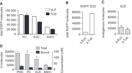 Figure 4. Quantiﬁcation of endogenous molecule numbers of PcG and TrxG proteins in living embryos