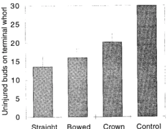 Fig. 7. The number of uninjured buds on the terminal whorl of broccoli Fig. 5. The size of flower buds on the terminal floral whorl of broccoli inflorescences when plants were exposed to 35 ° C for 1 week beginning inflorescences relative to their position