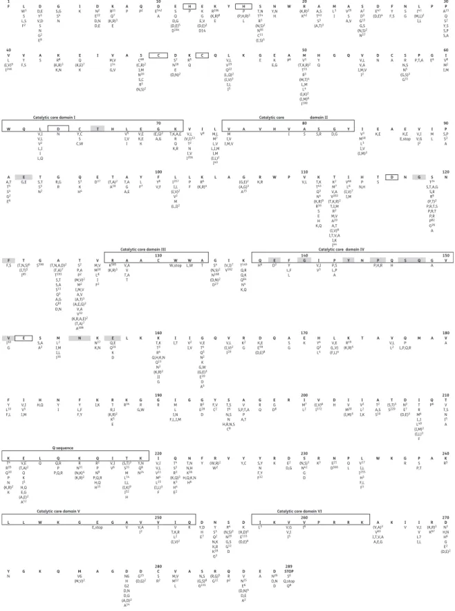 Figure 1. Distribution of variants among group M HIV-1 IN sequences. Amino acid polymorphism in HIV-1 IN from 308 plasma samples from drug-naive patients and 282 samples from experienced patients are reported