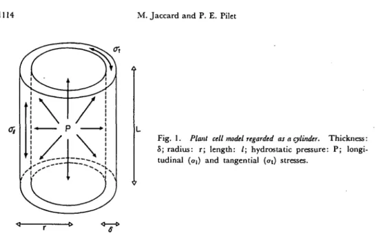 Fig. 1. Plant cell model regarded as a cylinder. Thickness: