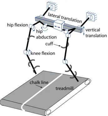 Figure 4 Photo of the experimental setup. All actuators were in zero- zero-force control, except for the lateral pelvis translation, which provided balance assistance.