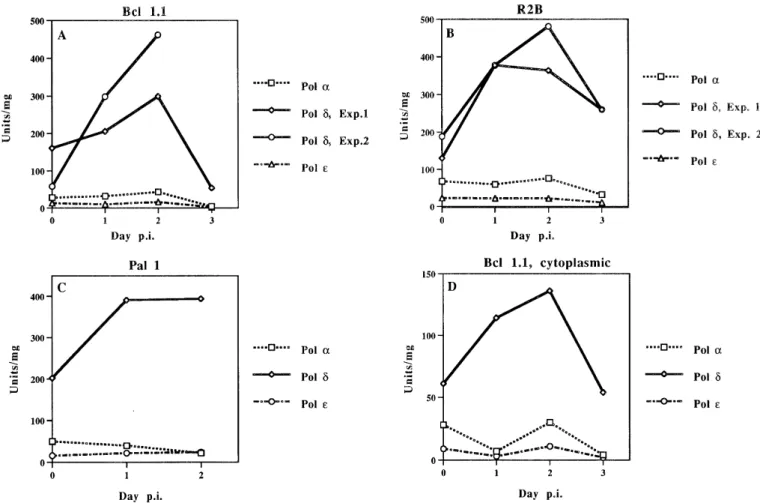 Figure 1. DNA polymerase activities before and after induction of preB cell differentiation