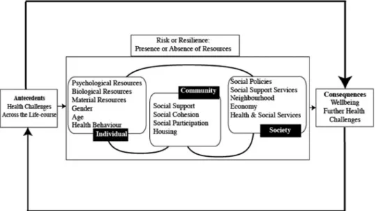 Figure 1 (Bennett &amp; Windle). The Resilience Framework (adapted from Windle &amp; Bennett 2011)