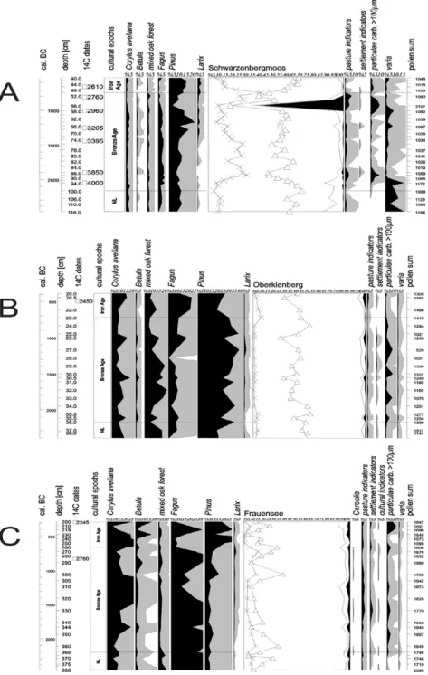 Figure 7. Pollen profiles from three sites in the Mauken area: A) upland (Schwarzenberg-Moos 1140m asl); B) hillside (Oberkienberg 757m asl); C) valley floor (Frauensee 560m asl)