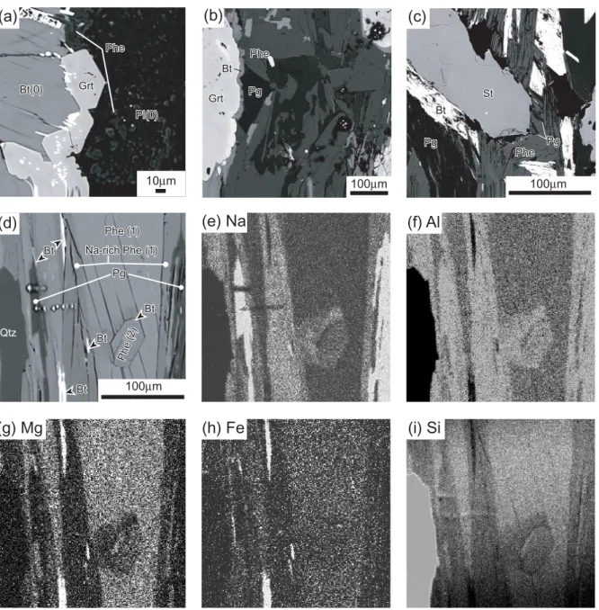 Fig. 5. Backscattered electron images (a–d) showing microstructures in samples 1, 4 and LK48