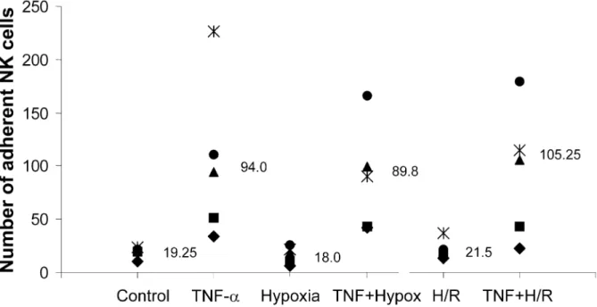 Fig. 3. Rolling NK cell adhesion. HAEC were exposed to TNF-a, hypoxia, H/R or combinations thereof and subsequently co-cultured with 10 6 NK cells for 10 min under shear stress