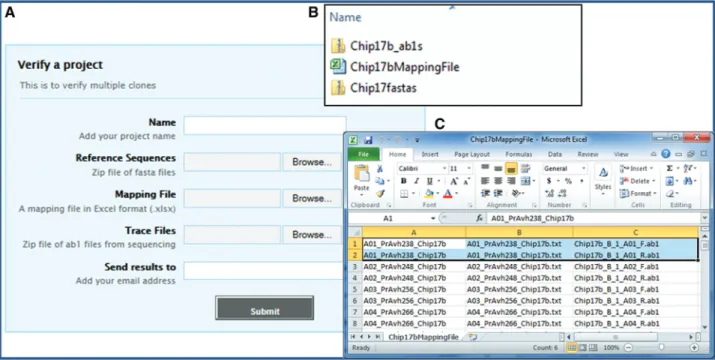Figure 2. Submission of a veriﬁcation project. (A) To submit a project (set of clones) for veriﬁcation, the user needs to prepare three ﬁles in advance (B)