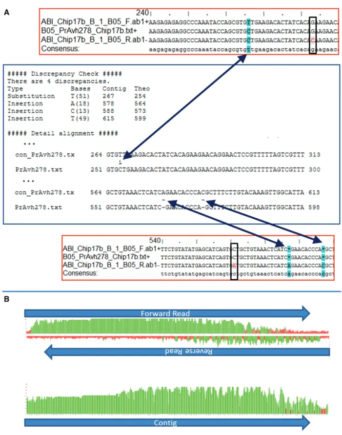 Figure 3. Sequence veriﬁcation report. (A) This composite ﬁgure shows the relationships between the MIRA assembly report framed in red and the Cross_match alignment reports framed in blue for the PrAvh278 gene