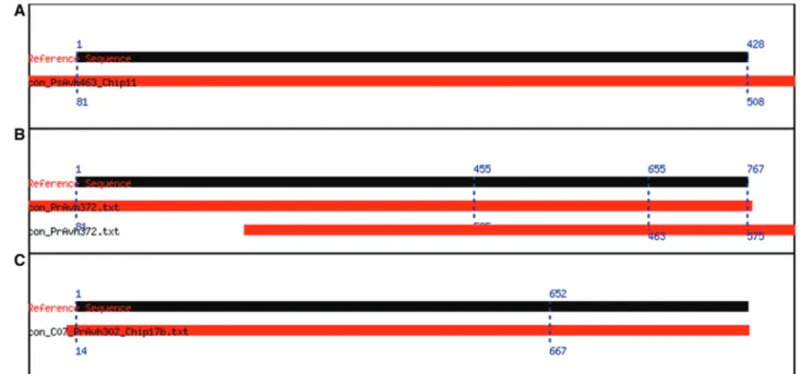 Figure 4. Different types of alignments. The alignment graphics try to capture how much of the reference sequence the contig covers and where they overlap