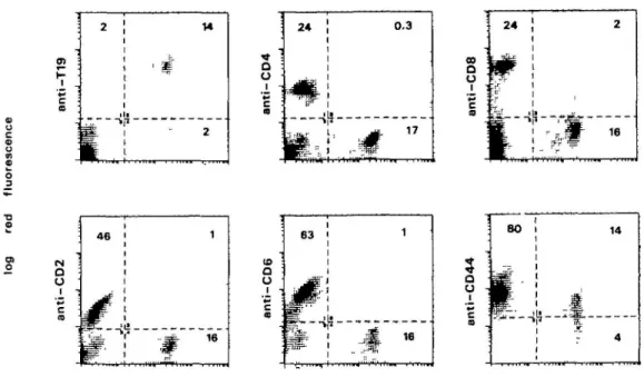 Fig. 2. Two-color immunofluorescence analysis of cattle PBL with the anti-y5 mAb 86D and various other markers