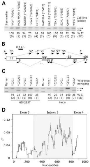 Figure 1. Alternative splicing of DQB1 exon 4 is determined by cis-regulatory elements