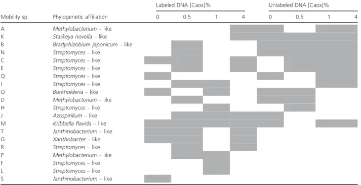 Table 2. Classification of mobility species according to the detection in labeled DNA and unlabeled DNA