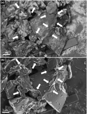 Figure 5. Scanning electron microscopy ~SEM! images of dry iron ore pellet fracture surface: ~a! low-loss backscattered electron compositional images revealing bentonite as dark gray phase  indi-cated by arrows, and ~b! secondary electron topographical ima