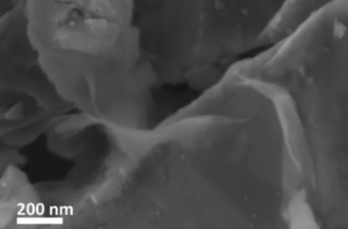 Figure 6. Scanning electron microscopy ~SEM! image of the frac- frac-ture surface of a dry iron ore pellet showing bentonite platelets forming bridges between magnetite particles.