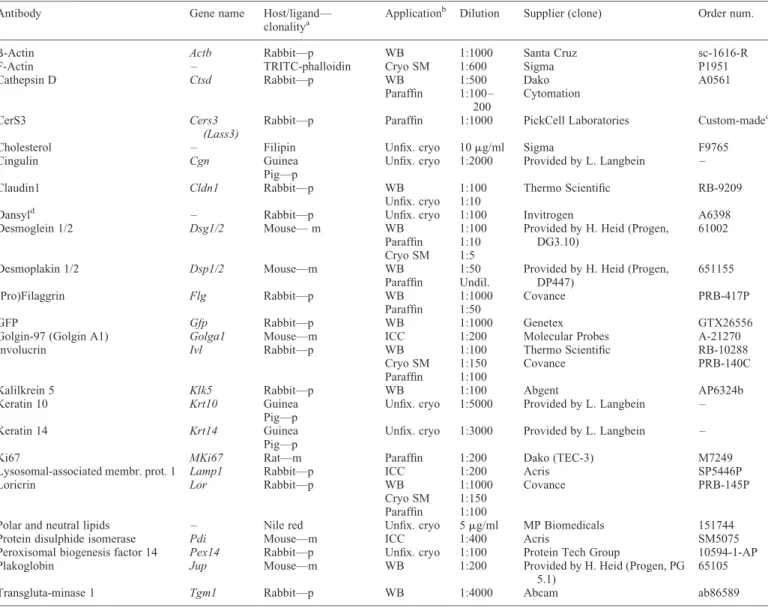 Table 4. Primary antibodies used for immunofluorescence and immunoblots