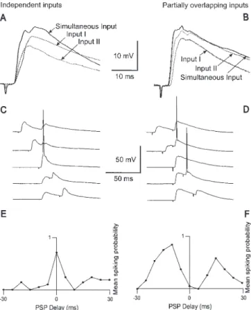 Figure 2. Temporal interactions of independent and partially overlapping inputs. (A, C, E) Independent inputs