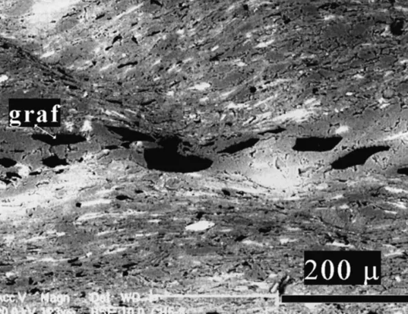 Figure 5. SEM image of a sample from borehole CH5. Section perpendicular to the schistosity