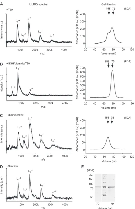 Figure 2     LILBID spectra and gel fi ltration chromatograms of 5-LO WT in the presence of T20