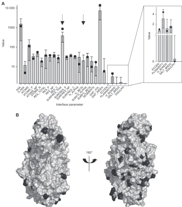 Figure 8     Evaluation of the 5-LO protein-protein dimer interface. 