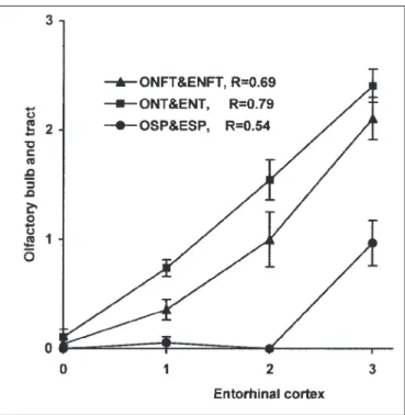Figure 4: Correlation of the severity of the AD-type degenerative changes in the olfactory system and entorhinal cortex.