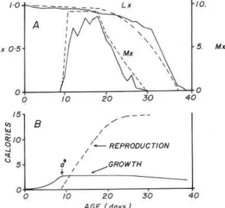 FIG.  2.  Simulation of the Randolph  er  al. (1975) pea aphid data (solid lines). A ,   L,,  and  M,  data; B, the energetics  data