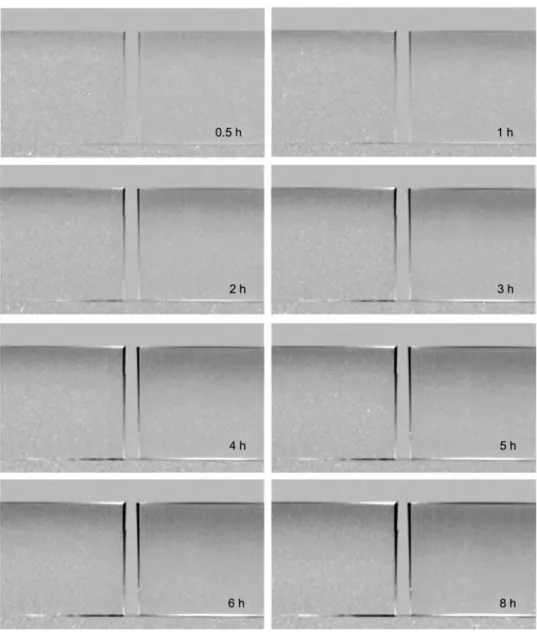 Figure 4 Dry-referenced images of samples of European beech (left) and Norway spruce (right)