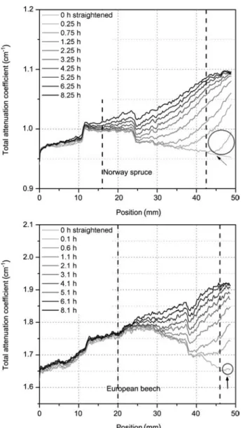 Figure 7 Mean total water content in the beech and spruce sample over time.