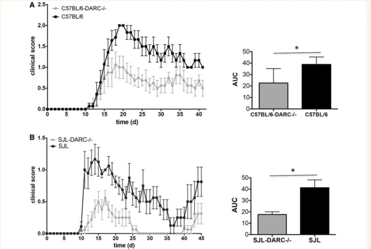 Figure 6 Darc / SJL or Darc / C57BL/6 mice develop ameliorated EAE. (A) In Darc / C57BL/6 mice (backcrossing generation N12) and wild-type C57BL/6 littermates active EAE was induced by subcutaneous immunization with MOG aa35–55 in complete Freund’s adjuvan