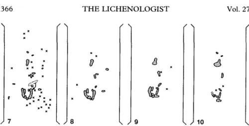 FIG. 7-10. Macroscopic observations of microtransplants over 22 months. The diaspores are redrawn from macrophotographs