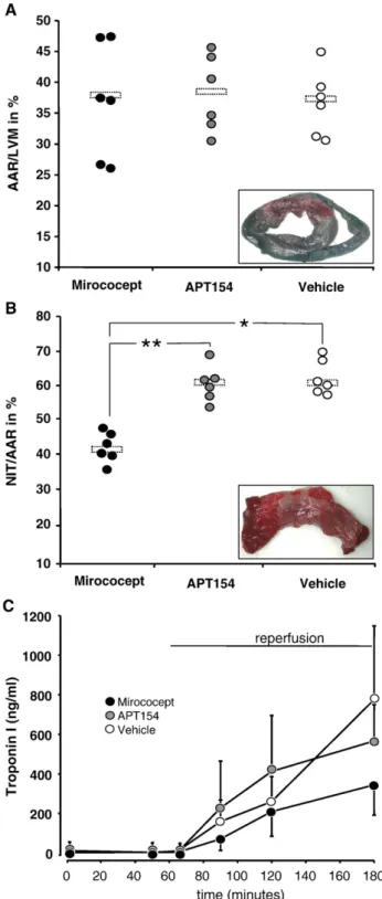 Fig. 2. Ratio of area at risk (AAR) to left ventricular mass (LVM), as detected by Evan's Blue staining (A)