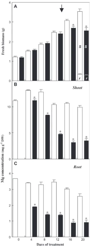 Fig. 2. Effect of Mg deficiency on biomass allocation, Mg content in Arabidopsis thaliana C24 (plants described in Fig