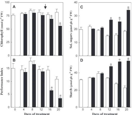 Fig. 3. Effect of Mg deficiency on chlorophyll concentration, photochemical performance, and sugar levels in Arabidopsis thaliana C24 (plants described in Fig