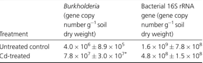 Table 4. Abundance of Burkholderia target sequences (gene copy number g 1 soil dry weight SD; n = 4) in cadmium-contaminated and control soils analysed by real-time PCR targeting 16S rRNA gene fragments using the 27F and Burk_484_Rev primer set