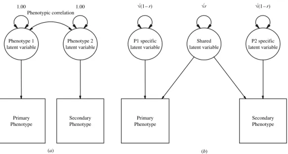 Fig. A1 shows two path diagrams that are equivalent and represent the relationship