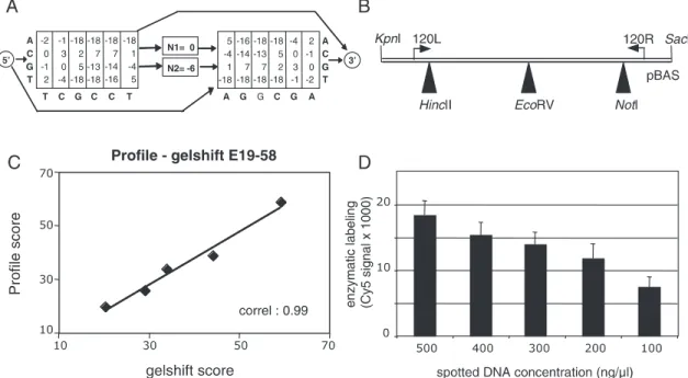 Figure 1. Bioinformatics prediction profile and microarray standardization tools for AP-2 binding studies