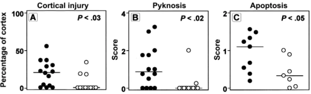 Figure 2. Histomorphometrical analysis of neuronal injury in rats with experimental meningitis treated with saline () or brain-derived neurotrophic factor (BDNF; )
