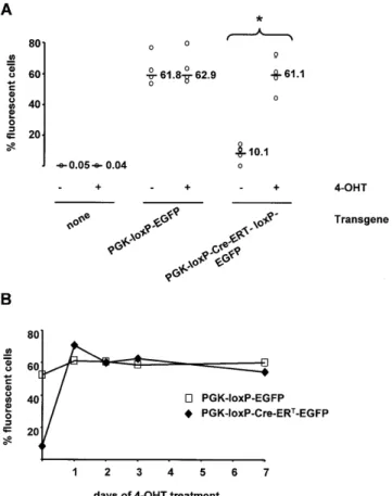 Figure 2. Expression of EGFP in BHK cells transfected with a PGK-loxP- PGK-loxP-Cre-ER T -loxP-EGFP transgene depends on exposure to 4-OHT