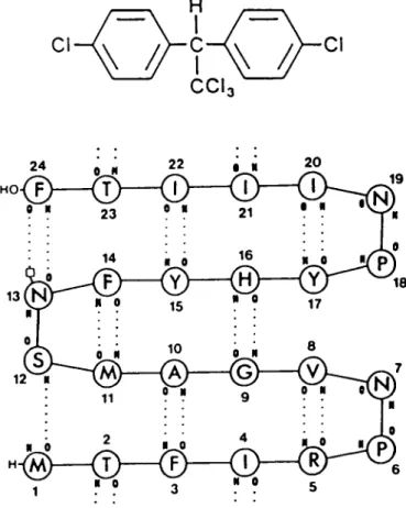Fig. 1. Structural formula of 4,4'-DDT [l,l,l-trichloro-2,2-bis(4-chloro- [l,l,l-trichloro-2,2-bis(4-chloro-phenyl)-ethane] (top) and sequence and proposed secondary structure of the designed 24-residue DDT-binding polypeptide (bottom)