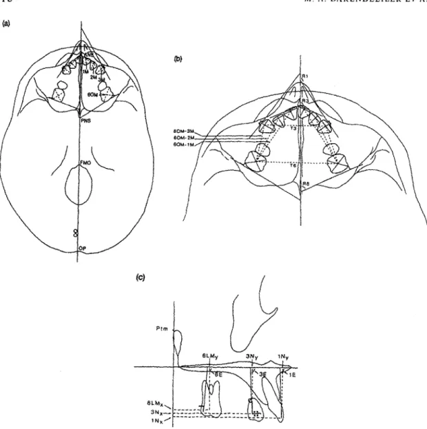 Figure 2 Cephalometric points and measurements on (a,b) the basilar and (c) the lateral cephalometric films