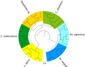 Fig. 4. Dendrogram of matrix-assisted laser desorption/