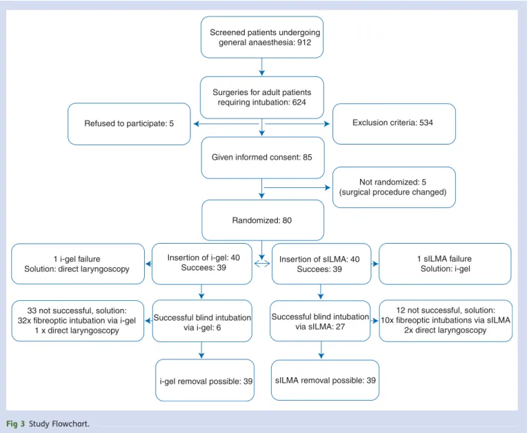 Fig 3 Study Flowchart.