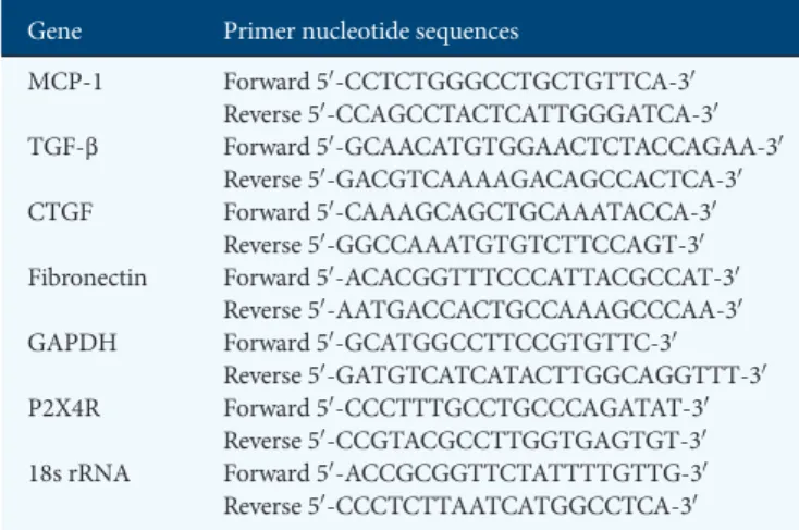 Figure 2B shows the typical histological ﬁ ndings of obstructed kidneys in each UUO group.