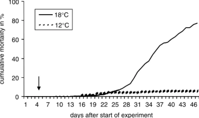 Fig. 8. Infection Exp. II – cumulative mortality of Tetrascapsula bryosalmonae-infected ﬁsh kept at diﬀerent temperatures