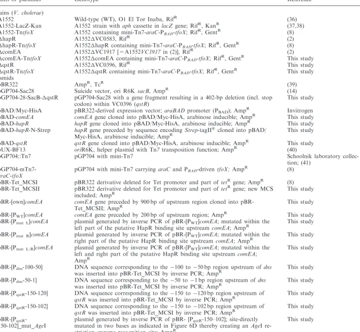 Table 1. Bacterial strains and plasmids