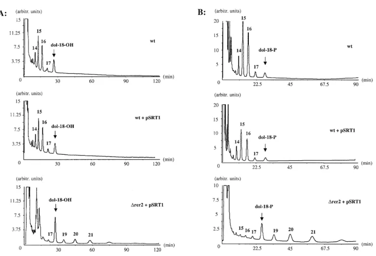 Table I. Comparison of cis-IPTase activity in microsomal fractions of different strains